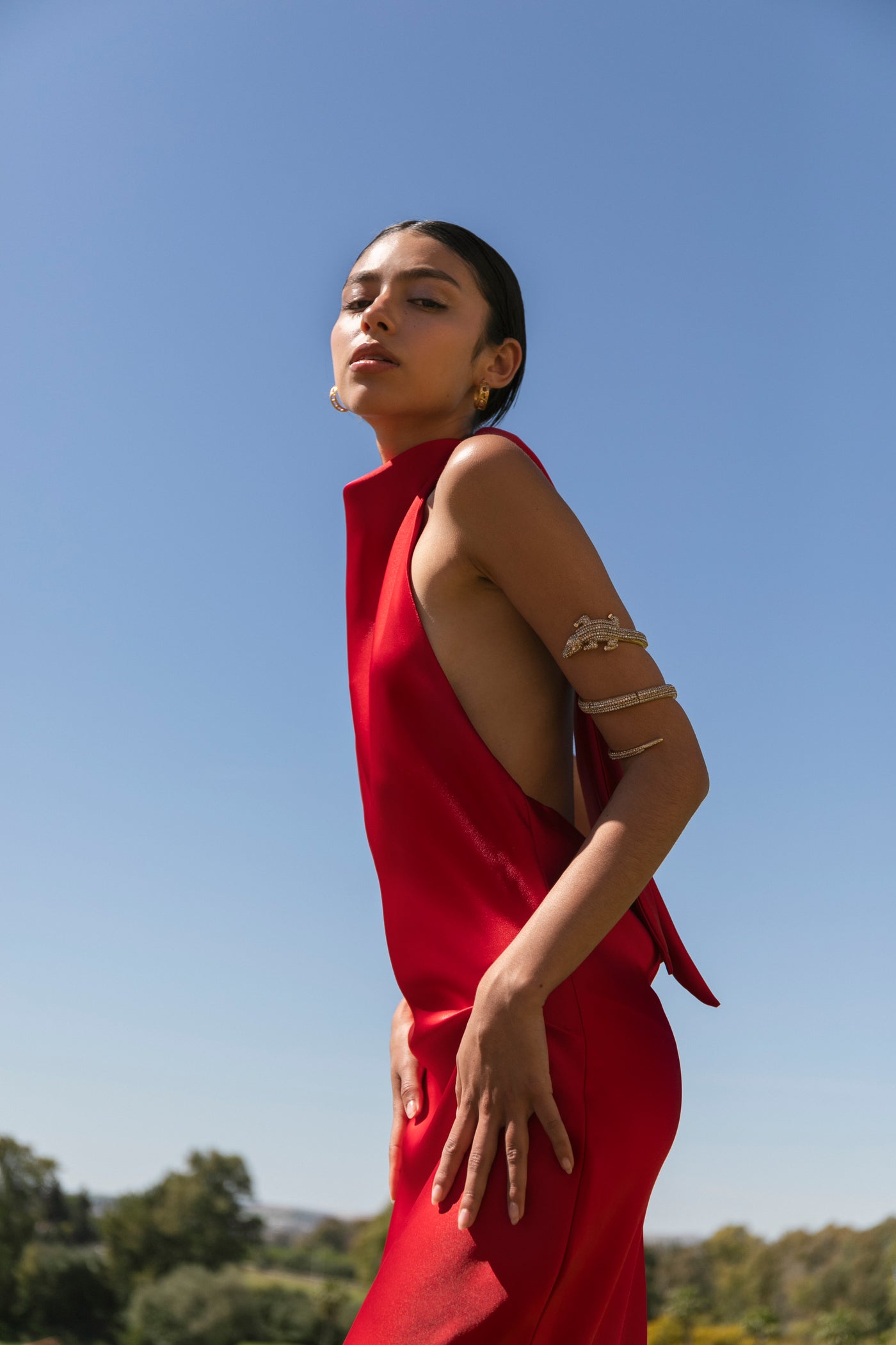 elena red dress The Elena Dress in Red Toile 8 / Red Toile